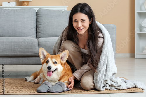 Cute Corgi dog with soft sl...