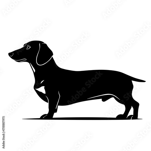 Black silhouette of a dachshund dog standing in profile view  