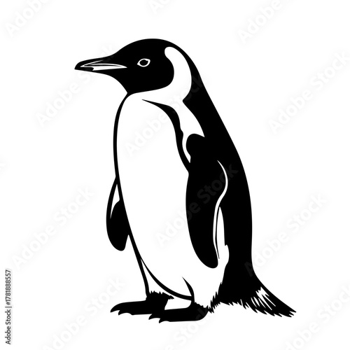 Black and white penguin standing in minimalist illustration style  