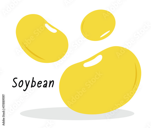Flat vector illustration of yellow soybeans