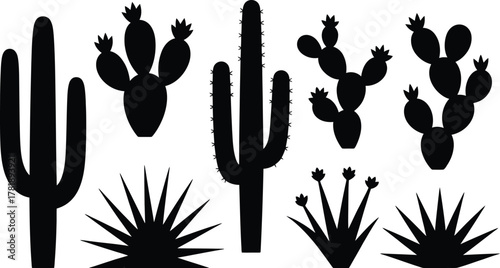 Black vector silhouettes of various cacti and desert succulents, perfect for western, botanical, or minimalist nature design projects. Silhouette collection of desert cactus and succulent plants

