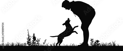Silhouette of person training playful dog outdoors, active pet jumping in grass field, showing companionship, obedience, bonding, nature lifestyle scene