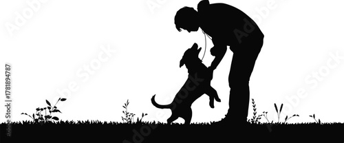 Silhouette of person training playful dog outdoors, nature grass field scene showing pet bonding, obedience interaction, companionship, active lifestyle concept