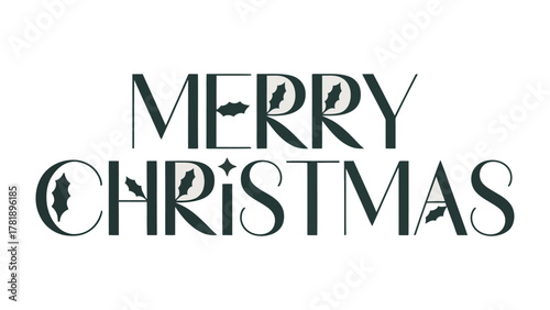Holiday Greetings: Elegantly designed text forms a heartfelt Merry Christmas wish, adorned with festive flourishes. conveying a message of joy and goodwill