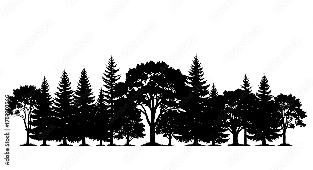 Obraz premium Silhouette of a diverse forest, showcasing various tree types against a bright background.