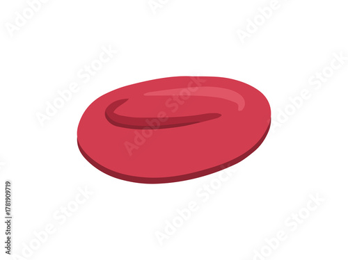 Red Blood Cell Erythrocytes
