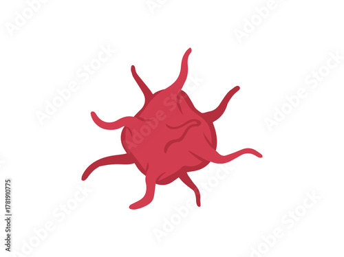 Platelet Cell Thrombocytes 