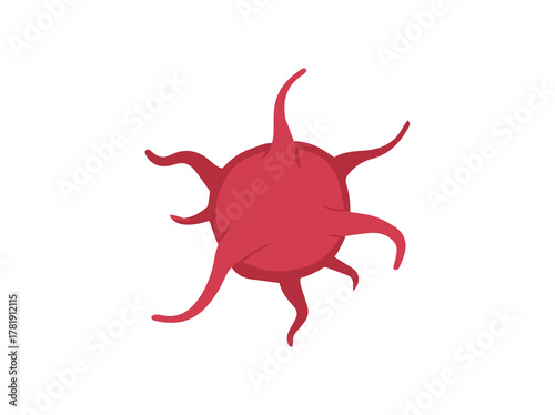 Platelet Cell Thrombocytes 