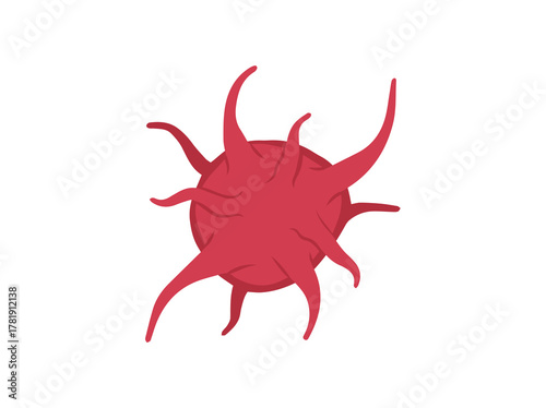 Platelet Cell Thrombocytes 