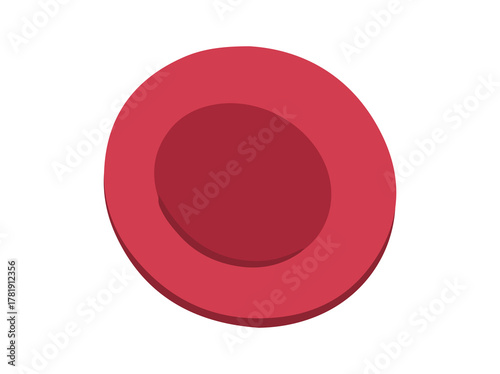 Red Blood Cell Erythrocytes