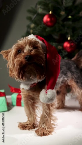 A cheerful dog wearing a Santa hat stands next to a decorated Christmas tree. Colorful gifts surround the dog, creating a joyful holiday atmosphere. Perfect for celebrating the festive season.