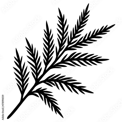 Black silhouette of a fern frond on a white background