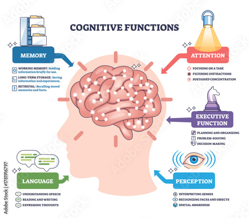 Cognitive functions brief overview showing a brain in a head silhouette with icons for memory, attention, language, perception, and executive function, mapping how the mind works.
