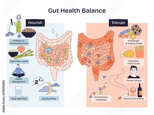 Gut health balance depicted through a split diagram showing healthy vs disrupted microbiome, key objects, intestines, probiotic foods, processed sweets, transparent background. Doodle style diagram