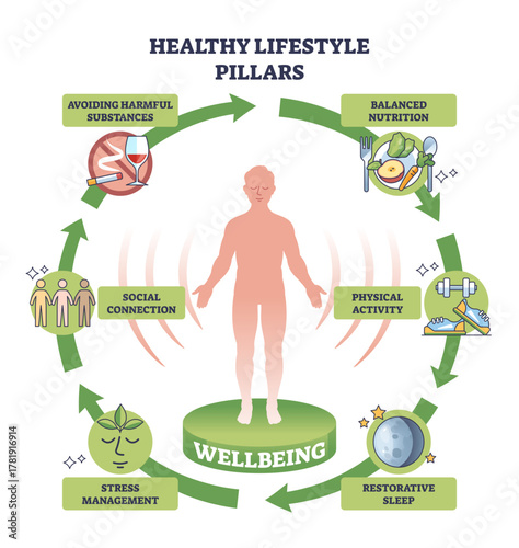 Healthy lifestyle pillars show wellbeing, human figure with circular arrows linking nutrition, activity, sleep, stress, social ties, and avoiding substances, figure, arrows, transparent background.