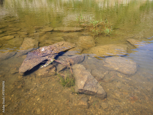 Pristine, natural alpine water showing small juvenile fish and submerged rocks