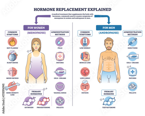 Hormone replacement explained, brief diagram comparing menopause and andropause symptoms, primary hormones and delivery methods, key objects, male figure, female figure, treatment icons.