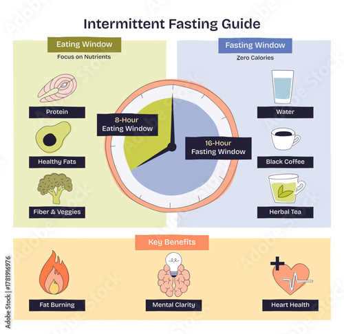 Intermittent fasting guide shows a 16-8 schedule with a central clock, eating and fasting windows, plus key foods and drinks and benefits, transparent background. Doodle style diagram