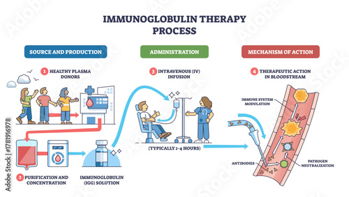 Immunoglobulin therapy process visualizes donor plasma to IV infusion and antibody action in blood, key objects, donors, IV bag, vein with antibodies, transparent background.