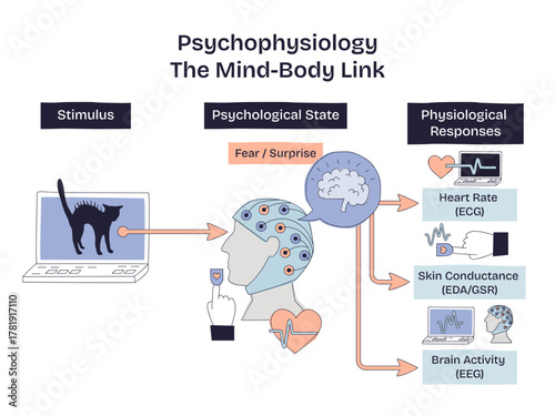 Psychophysiology-The Mind-Body Link-Brief Doodle Diagram, stimulus triggers brain processing and bodily signals—heart rate, skin conductance, EEG, objects, brain, heart, laptop.