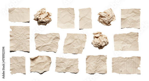 Collection of crumpled and torn paper pieces, showcasing textures and aged appearance