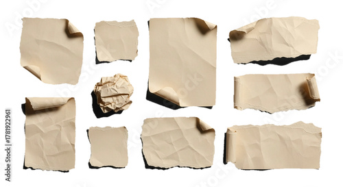 Collection of torn and crumpled paper pieces isolated on a white background, showcasing diverse textures and edges