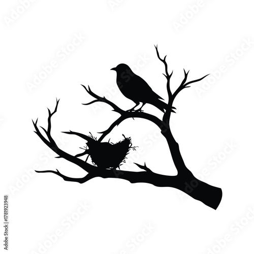 Foto Silhouette of a Bird Perched on a Branch Near its Nest, dead branch with bird ne