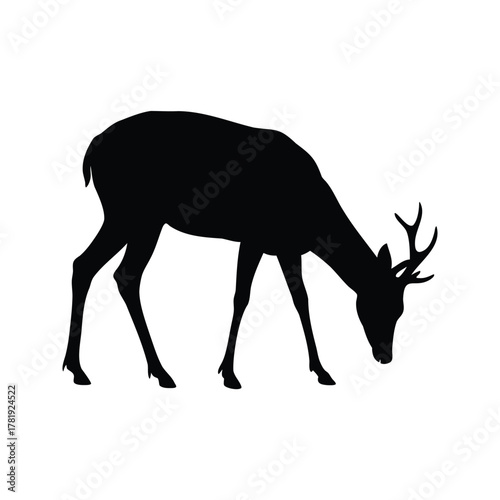 Black silhouette of a deer grazing with its head down on white, deer sniffing the ground silhouette vector illustration