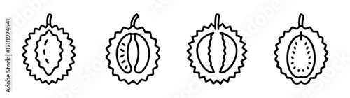 Four stylized line art durian fruit cross sections showing seeds and pulp detail