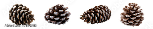 Set of snow dusted pine cones, isolated on transparent background