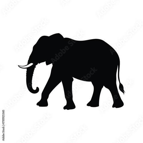 A solitary elephant walks across a plain, depicted as a black silhouette, elephant walking silhouette vector illustration