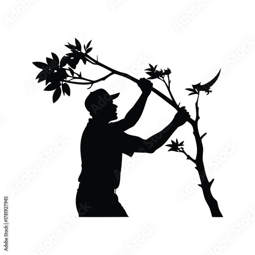 Silhouette of a man bending a tree branch with leaves, against white, person trimming tree branches silhouette vector illustration