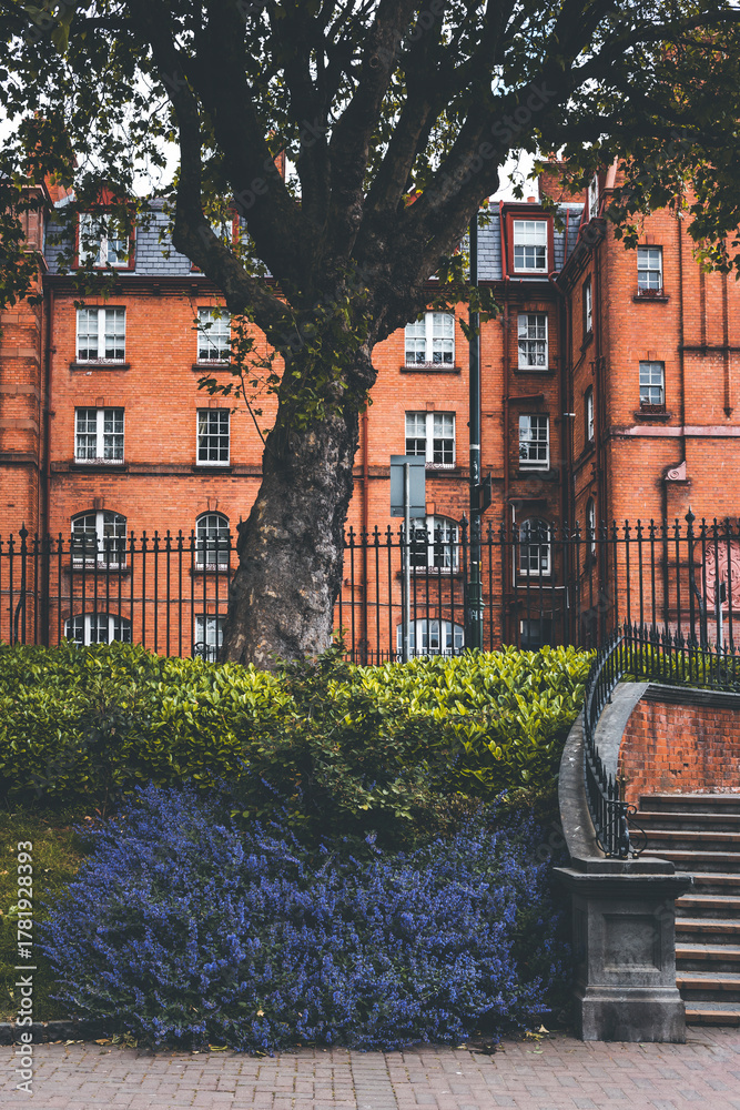 Fototapeta premium old houses detaild with staircase and a tree in dublin ireland
