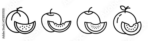 Line art of four honeydew melons with slices showing seeds fresh fruit graphics