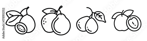 Hand drawn line art depicting various fruits including plums and pears with leaves