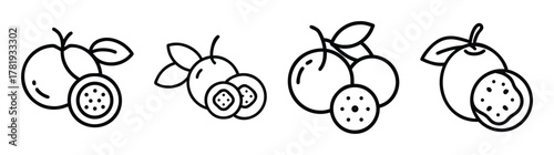 Four jabuticaba fruit icons depicting whole and sliced fruits with leaves