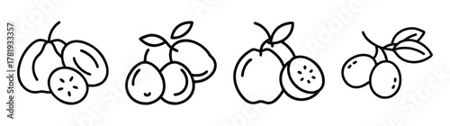 Hand drawn sketch of four groups of jujube fruits and leaves outline style