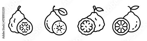 Four stylized line drawings of kaffir limes with leafy stems and slices showing segments