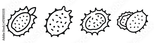 Kiwano horned melon seed illustrations line art simple botanical drawings exotic fruit seeds