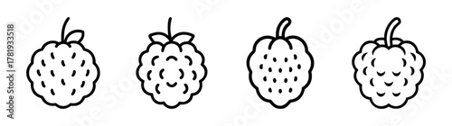 Four stylized custard apple illustrations showing tropical fruit texture and stems