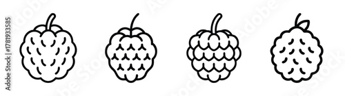Four outline custard apples simple line art design elements fruit graphics