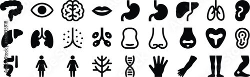 Collection of Human Anatomy and Body Part Icons in Black Silhouette human body organ