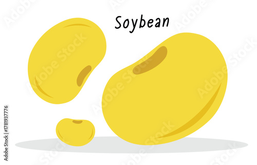 Yellow soybeans flat vector graphic