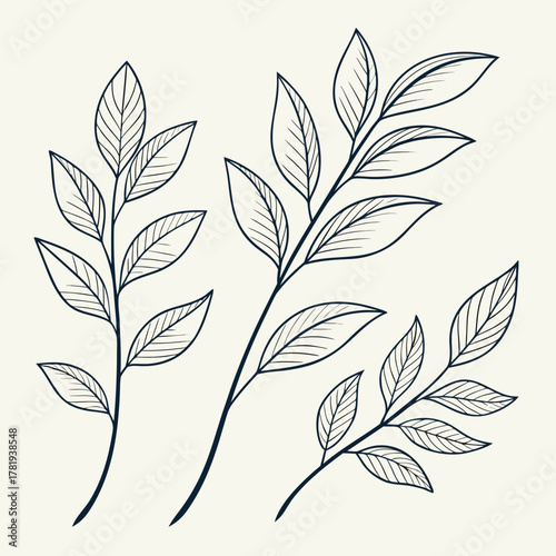 Elegant hand drawn botanical illustration of delicate branches with leaves on a light cream background