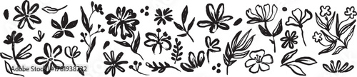 Chamomile hand drawn black paint vector set. Kids crayon flowers and plants, Set of flowers, leaves, floral stems. . Black and white botanical elements. Vector illustration.