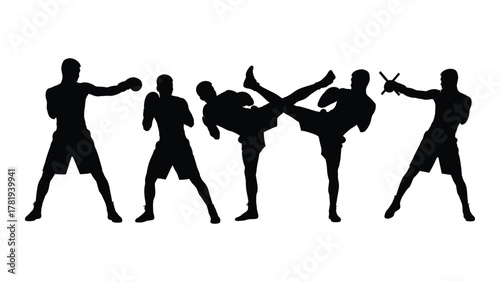 Martial arts combat silhouettes isolated on white background, Vector