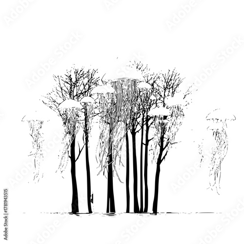 Monochrome drawing of tall trees with bare branches and jellyfish floating above them in the air