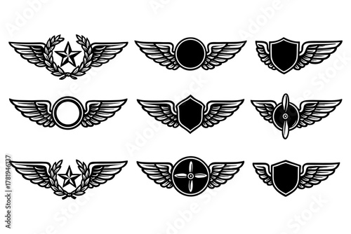 Set of winged insignias with shields and stars on white background