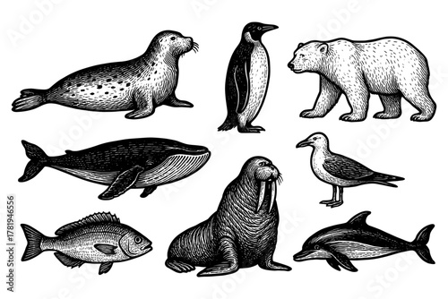 Wildlife ensemble: engraved arctic and marine animal collection in black and white