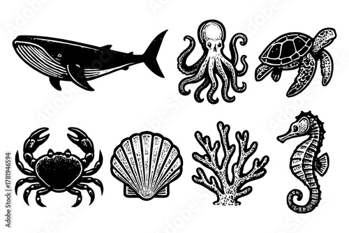Vintage ocean life collection: hand-drawn marine animals and coral designs